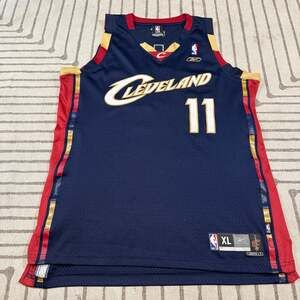 Zydrunas Ilgauskas Cleveland Cavaliers Reebok Jersey